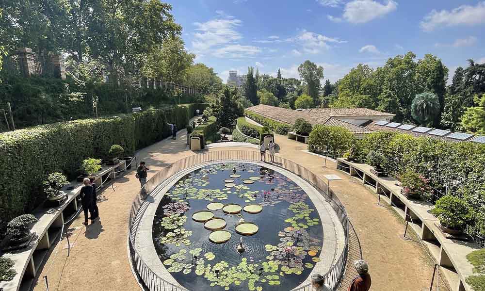 REAL-JARDIN-BOTANICO-DE-MADRID
